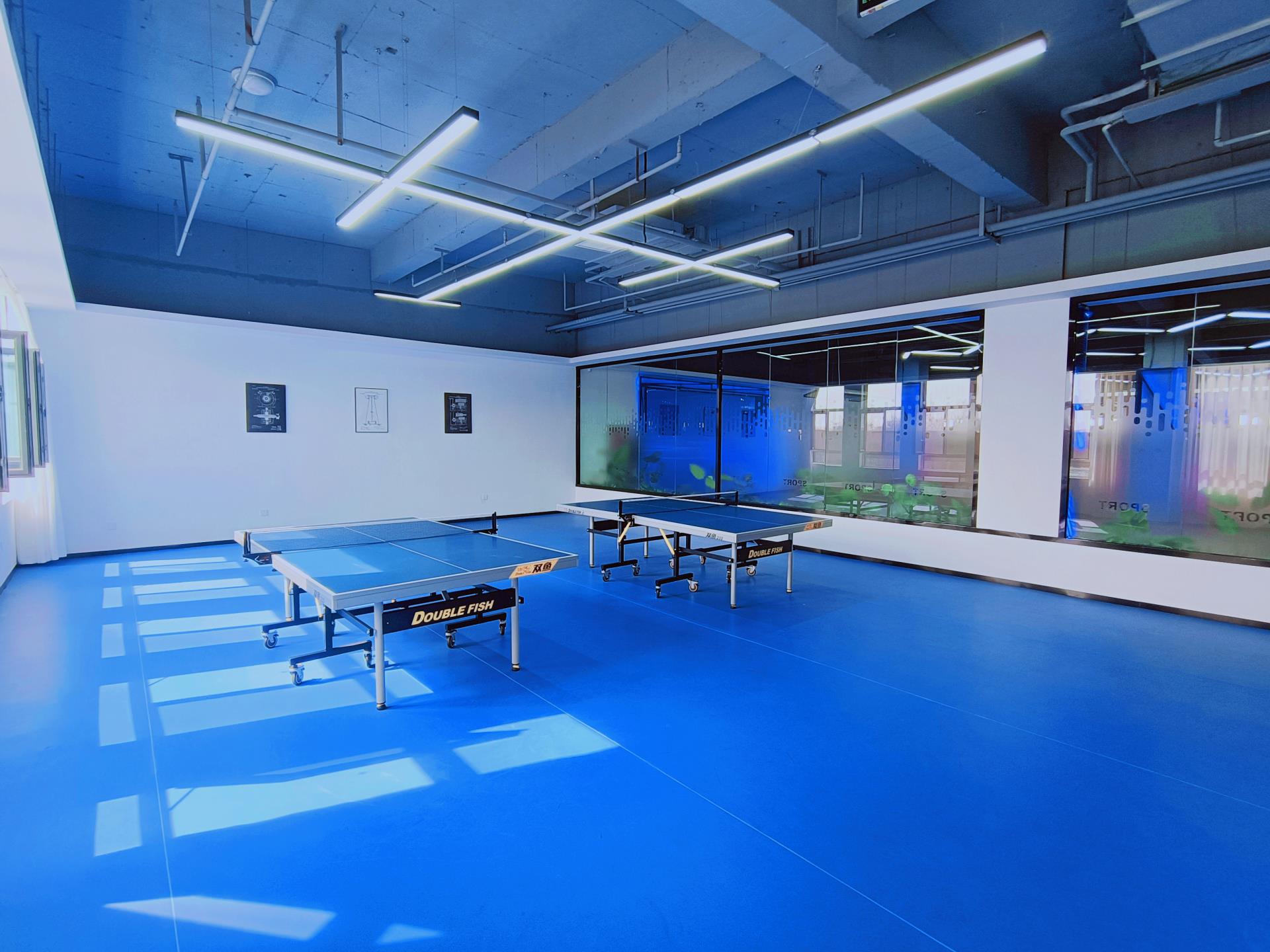 Bodog·(中国区)官方网站